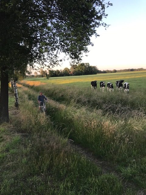 Fietsen en wandelen in onze omgeving Halle, Zelhem, Varsseveld.