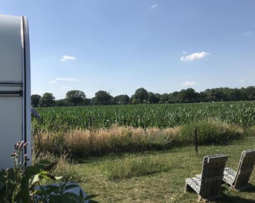 Het uitzicht in de maanden juli en augustus