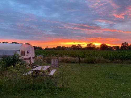 Een heerlijk avond zonnetje 
