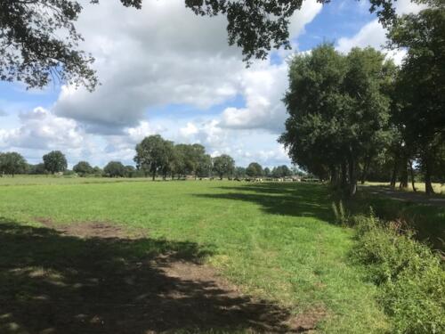 Omgeving Halle 
